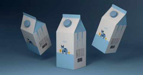 Süt Kutusu Ambalaj Tasarımı
